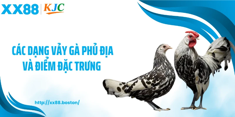 Các dạng vảy gà phủ địa và điểm đặc trưng