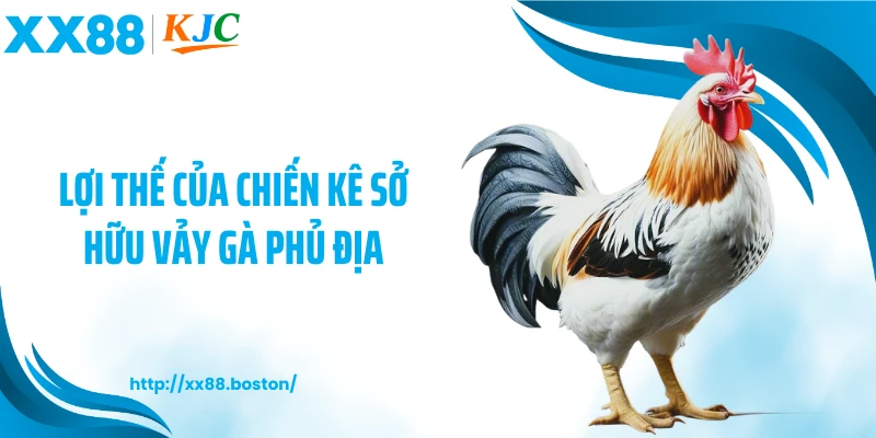 Lợi thế của chiến kê sở hữu vảy gà phủ địa